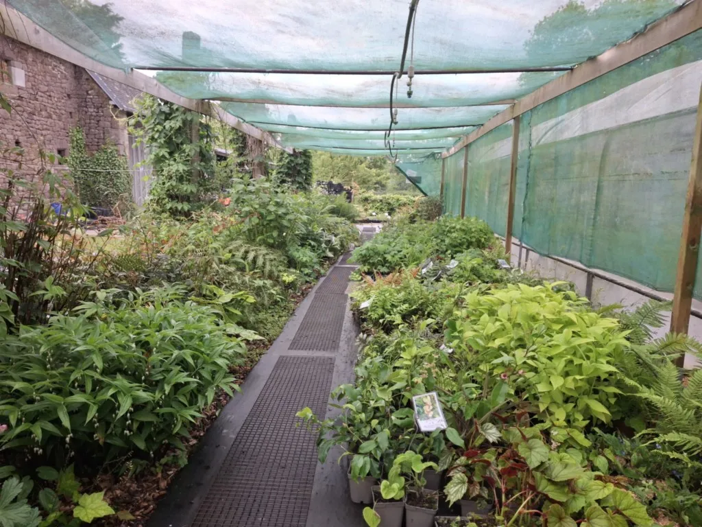 Pépinière de la petite foulerie