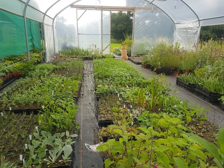 pepinière de la petite foulerie