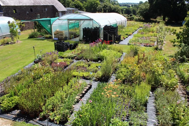 pepinière de la petite foulerie